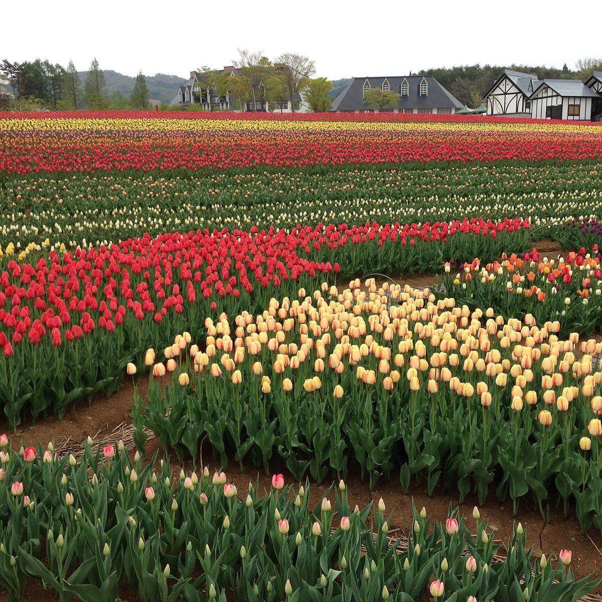 🏞️ 목가적인 마을(보카노사토) 이미지 7